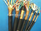 DJVVP3計(jì)算機(jī)控制電纜全國(guó)送貨，天津市電纜總廠第一分廠專業(yè)之選